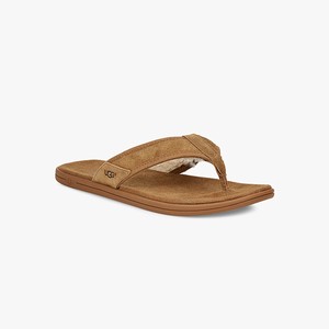 Ugg Seaside Tasmania Men Slippers Brown (8720RXNIS)